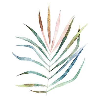 WildFlora profile