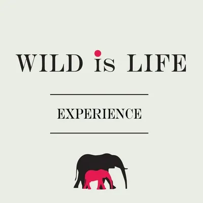 Wild is Life Experience profile