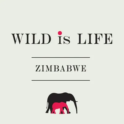 Wild is Life profile