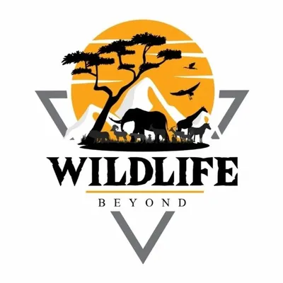 Wildlife Beyond profile