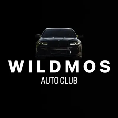 WILD MOSCOW AUTO CLUB profile