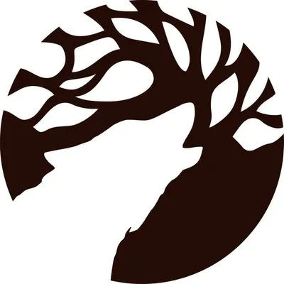 Wildpark-MV in Güstrow profile