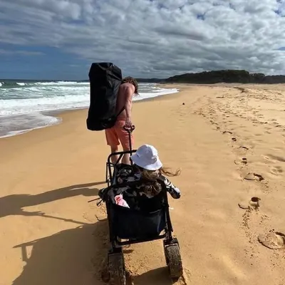 Will Williams profile