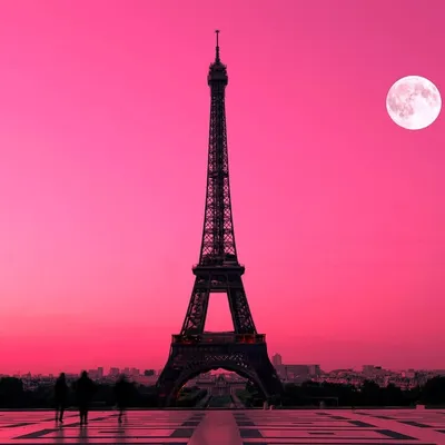 La Vie En Rosé profile