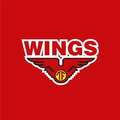 Wings Group profile