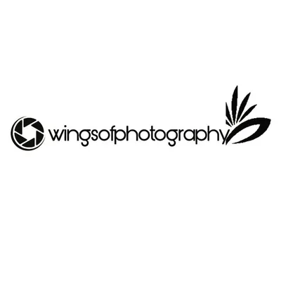 PHOTOGRAPHY🇮 profile