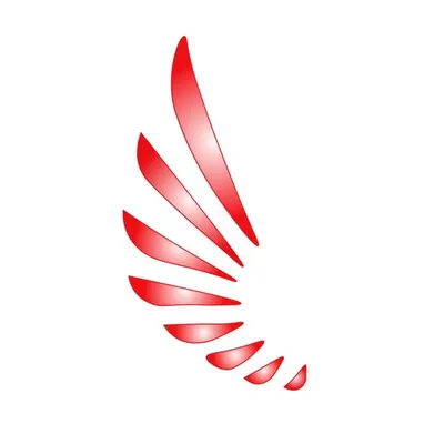 Wingss Asesoría Inmobiliaria profile