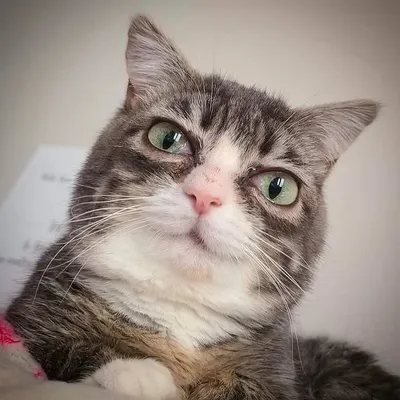 Winky profile