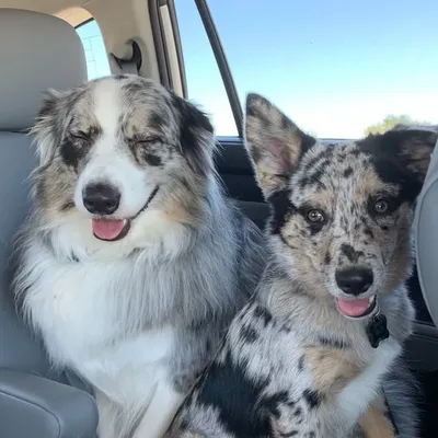 Adventures of Winny & Milo profile