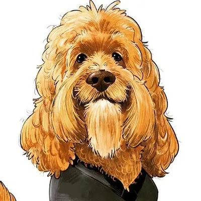 Sir Winston profile