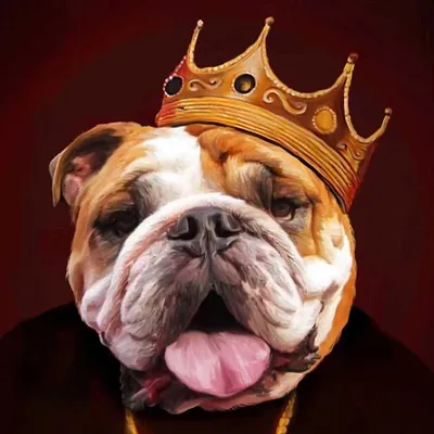 Winston The Truth profile