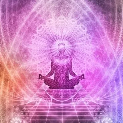 Wisdom Enlightenment profile