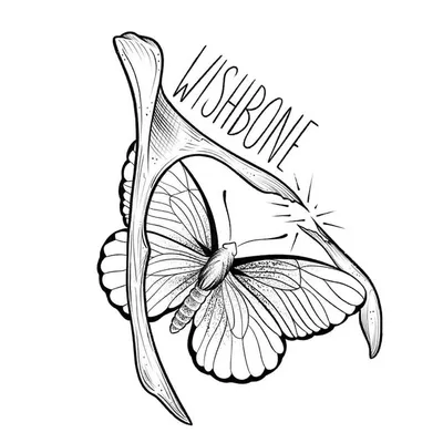 Wishbone profile