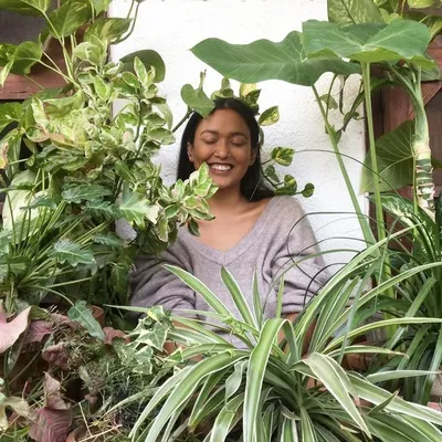 🌿Kopal Nanda 🌿 profile