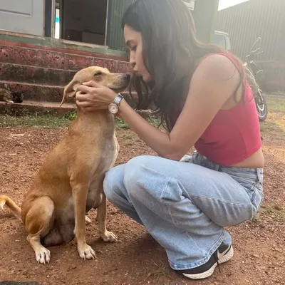 TheVeganDhaba | Aditi Sharma profile