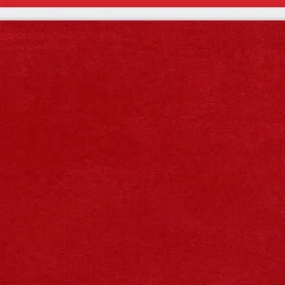 Wizkid News profile