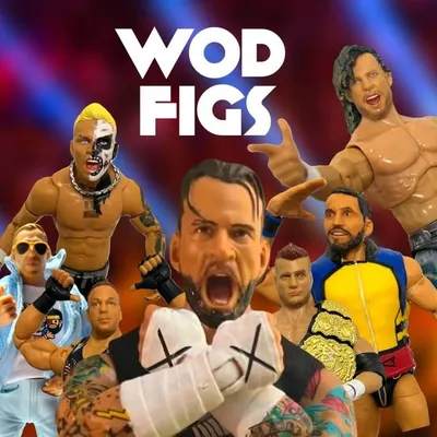 WodFigs profile
