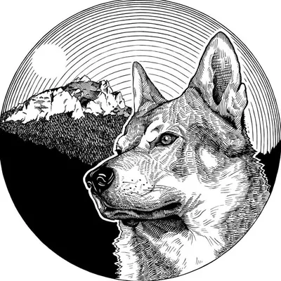 Wolfdography Studio profile