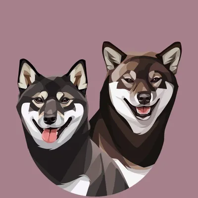↟ ᴡᴏʟғɪᴇ, ᴛᴀɪʏᴏ, ʀᴀʏɴᴀ, ᴍɪʏᴜ ↟ profile