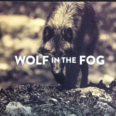 WOLF in the FOG profile