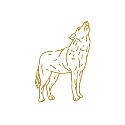 Wolf & Wander Co profile