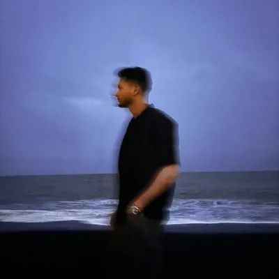 W O L F Y profile