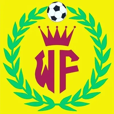 WOmanIY🏃♀️ F⚽️⚽️TBALL profile
