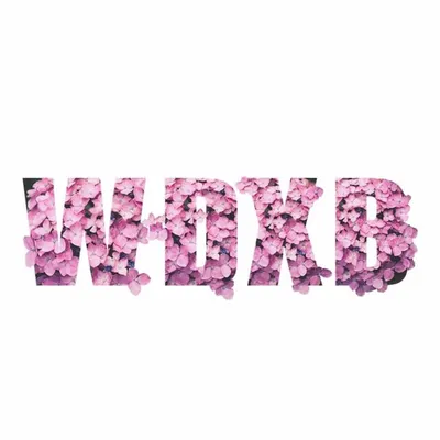 WDXB profile