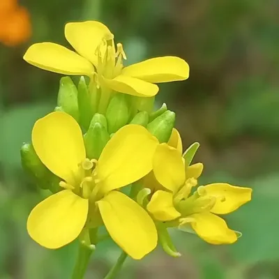 Natural beauty of world ๐๐ profile