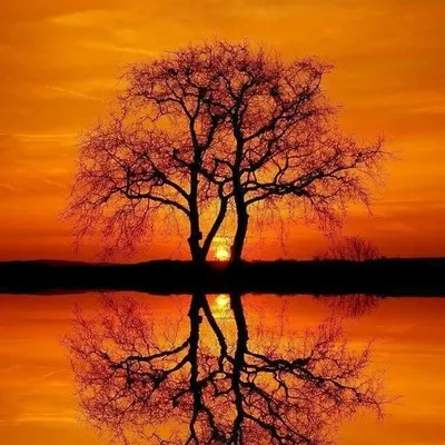 wonderful__places__earth profile