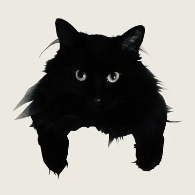Lucy ๐ฆ๐ฆ๐ profile