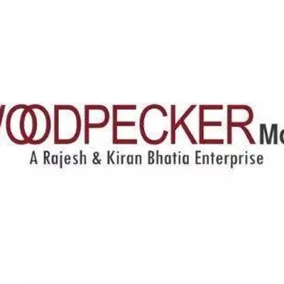 Woodpecker Moviz profile