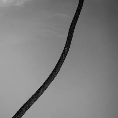 Woody Gooch profile