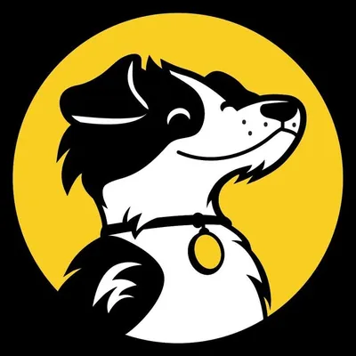 Адресники для собак и кошек profile