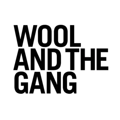 WOOL AND THE GANG profile