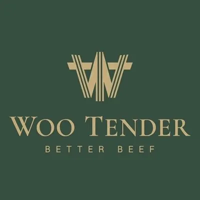 ₩OO TENDER profile