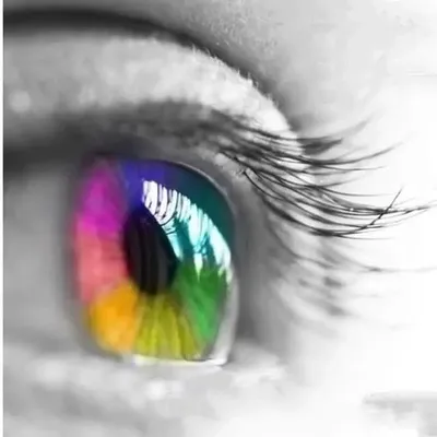 Words For Emotion profile