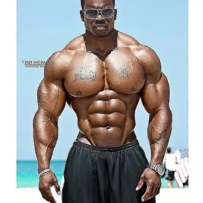 workout.importantt profile