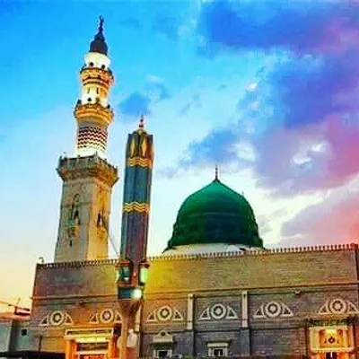 True Islam with authentic references profile