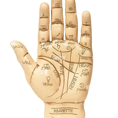 HMASTROPALMIST विश्व प्रसिद्ध हस्त रेखा विशेषज्ञ profile