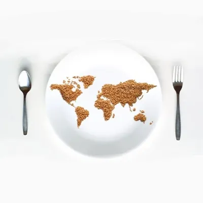 The World on Your Plate profile