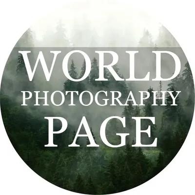 World Photography Page profile