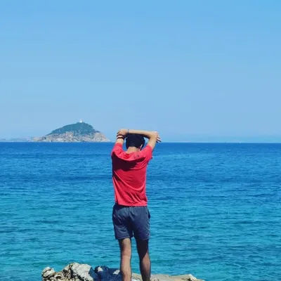 Andrea Ballarini profile