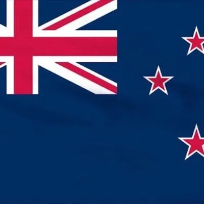 World Record Flag๐ณ๐ฟ๐๐ profile