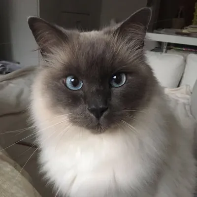 Worsti💕🇩🇪 profile