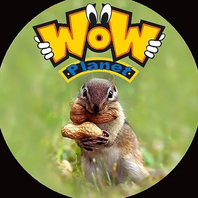 Wow Planet ๐ profile