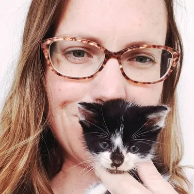 Wrenn Rescues Inc profile