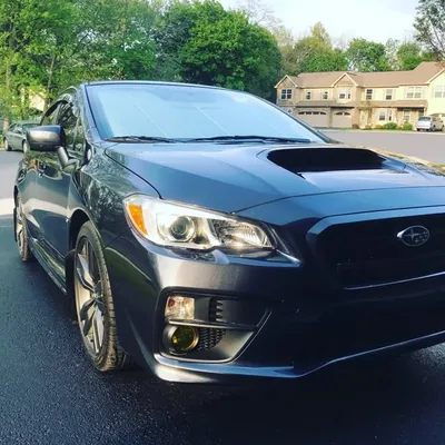 Mr. Wrx profile
