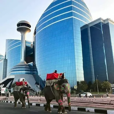 World Trade Park JAIPUR profile