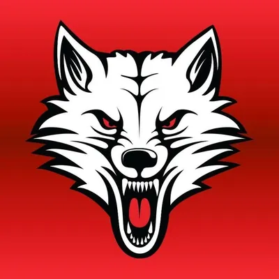 WulfMods profile